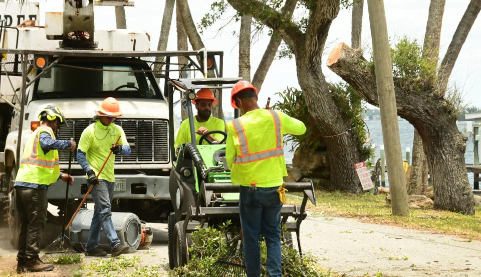 Monday afternoon in the unincorporated area of Rockledge. Public works personnel from Brevard County and tree trimming contractors began pruning oak trees along Rockledge Drive despite efforts of local residents to stop the project, which they say will ruin the character of the scenic roadway along the Indian River Lagoon.