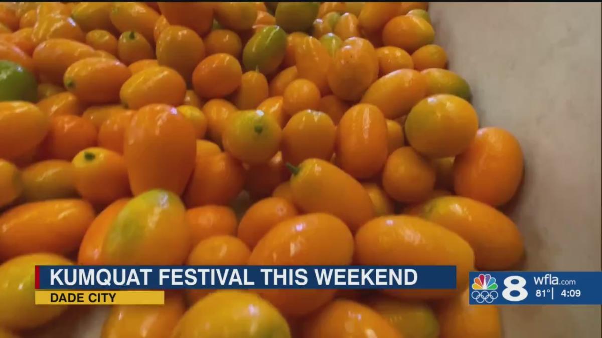 Annual Kumquat Festival to kick off in Dade City this weekend