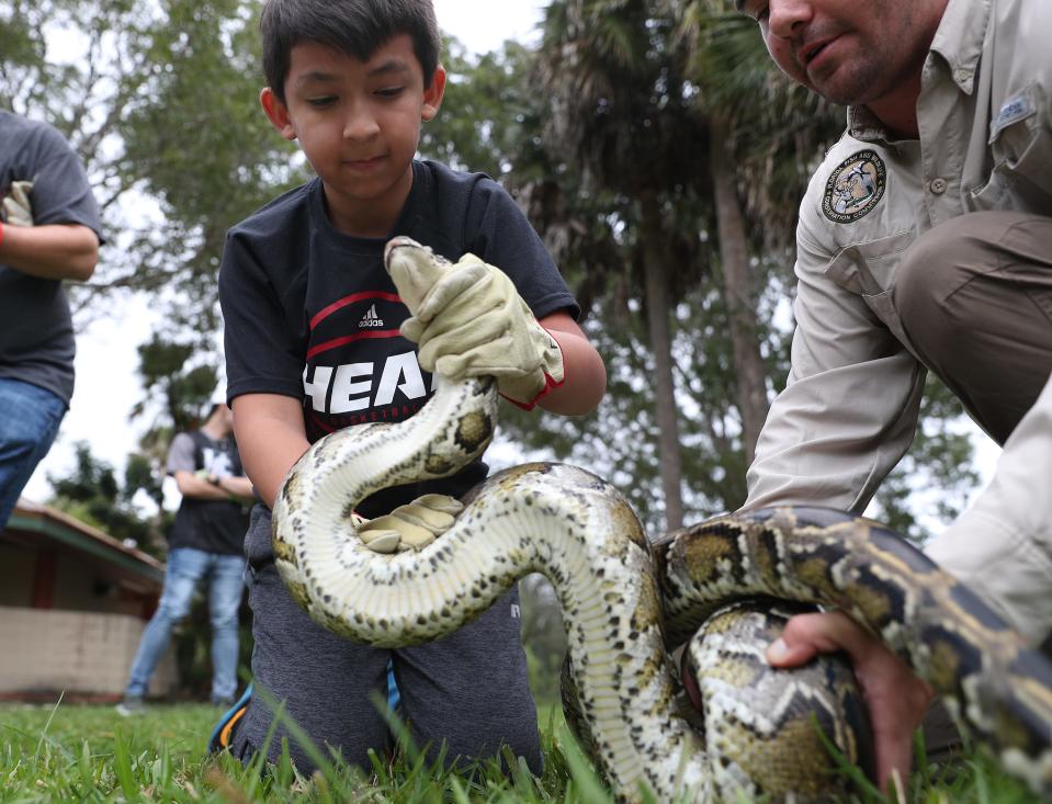 Bryan Backs, left, with the help of Jake Travers, from the Florida Fish and Wildlife Conservation Commission, learns how to capture a python as he participates in a demonstration before potential snake hunters at the start of the Python Bowl 2020 on Jan. 10, 2020, in Sunrise, Fla.