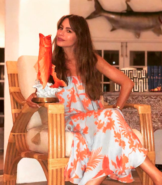 Sofia Vergara shares amazing vacation snaps