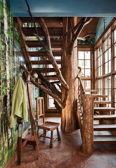 A Tree Staircase in Montana