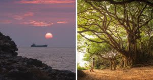 柴山大自然百榕園 | Chaishan natural Banyan Garden (Courtesy of @samil_shoot)