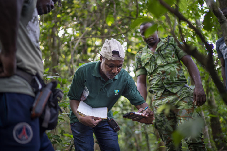 A Wildlife Conservation Society researcher photographs elephant dung in Gabon's Pongara National Park forest, on March 9, 2020. Gabon holds about 95,000 African forest elephants, according to results of a survey by the Wildlife Conservation Society and the National Agency for National Parks of Gabon, using DNA extracted from dung. Previous estimates put the population at between 50,000 and 60,000 or about 60% of remaining African forest elephants. (AP Photo/Jerome Delay)