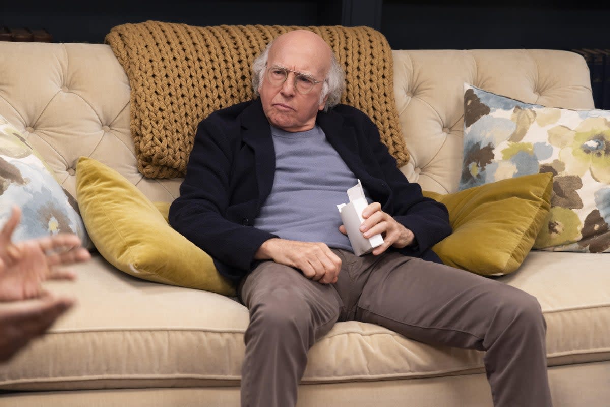 Larry David in ‘No Lesson Learned’  (Sky)