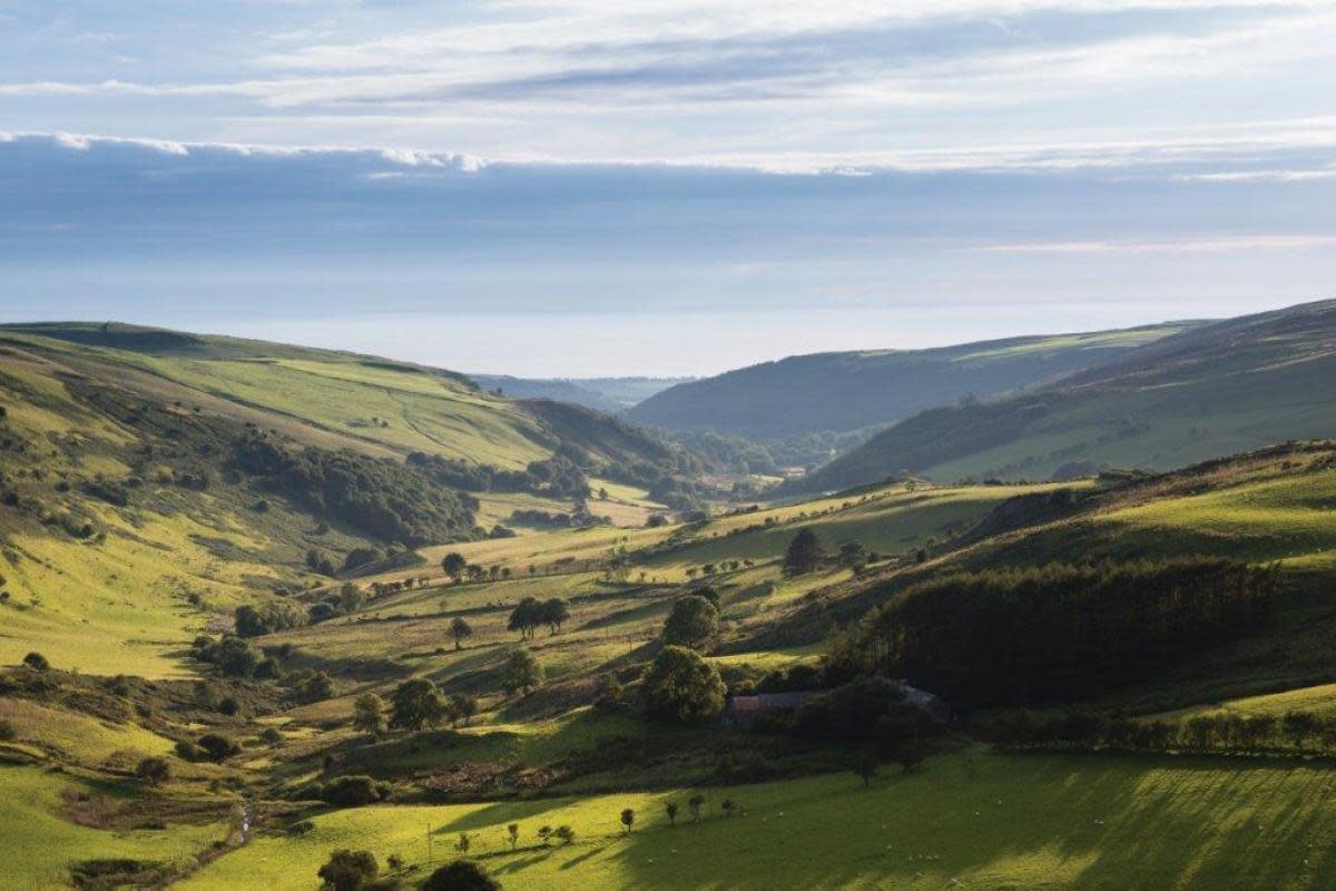 The sustainability conference will take place on July 3 <i>(Image: Food & Drink Wales Sustainability Cluster)</i>