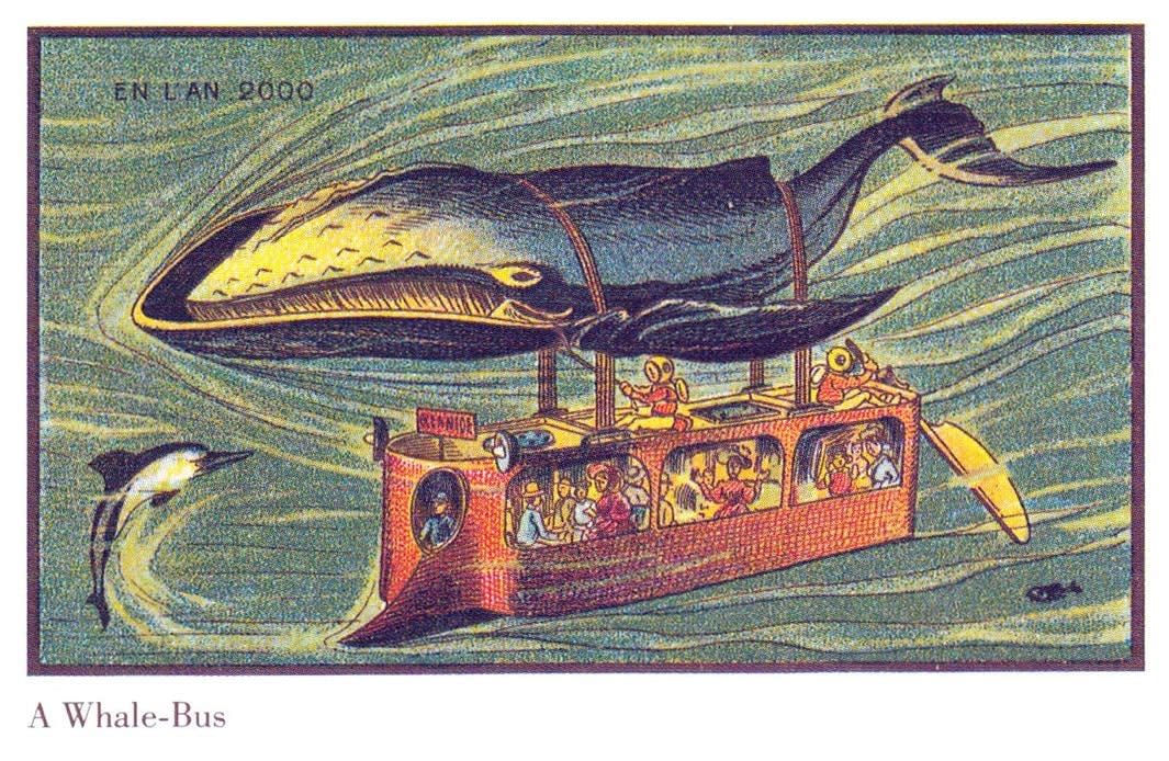 Hop aboard the whale bus. PETA might have a thing or two to say about this...