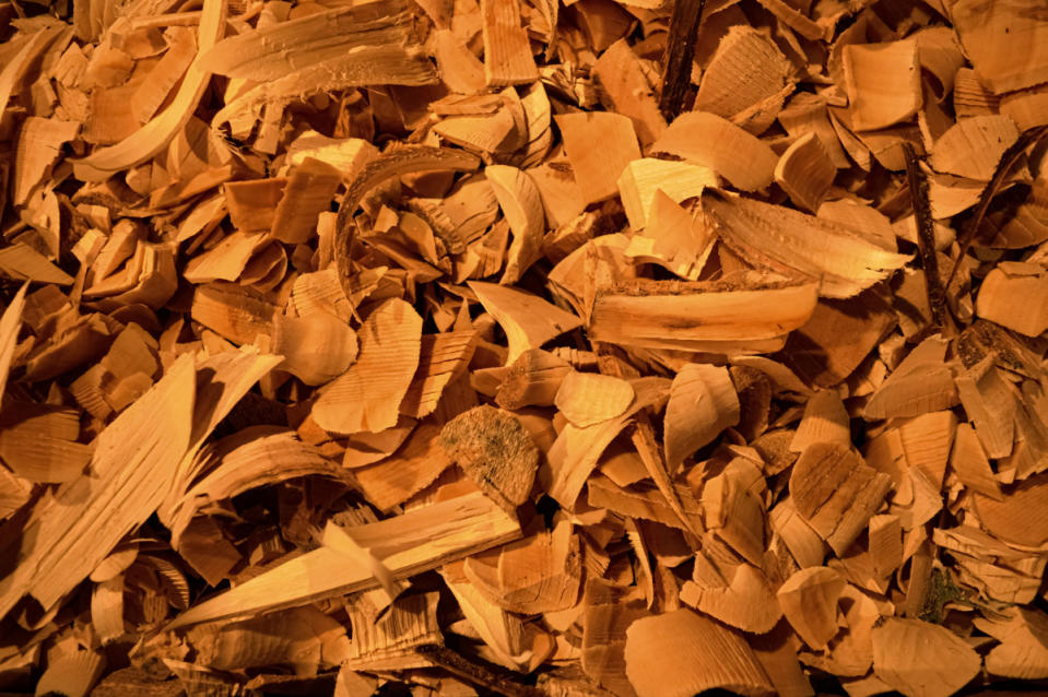 Cedar wood chips can be used to neutralize smells in a musty linen closet.<p>Photo by João Guimarães on Unsplash</p>