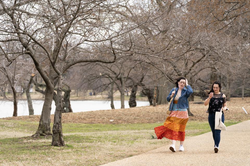 On an unusually warm March day that reached into the low 80 degrees, women are buffeted by a strong wind as they walk toward the tidal basin in Washington, Monday, March 7, 2022, where the Cherry Blossom Trees are budding but not yet in bloom. (AP Photo/Jacquelyn Martin)