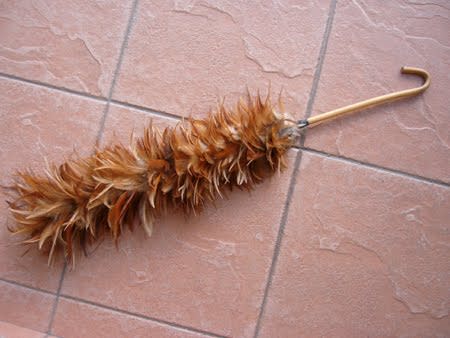 Feather duster