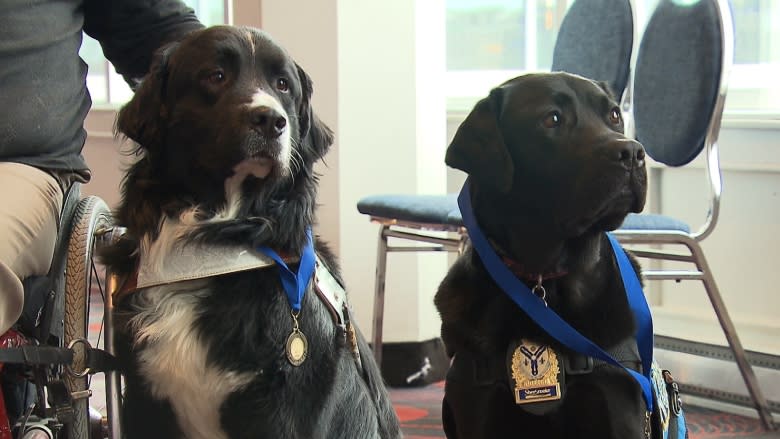 Heroic Quebec service dogs honoured at special ceremony