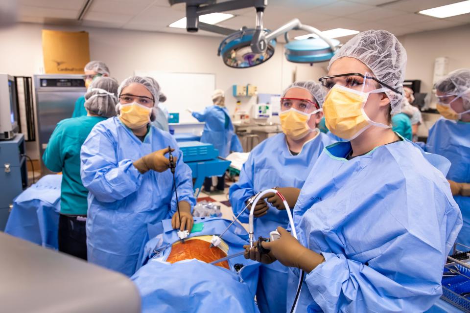 Students at Ozarks Technical Community College in a surgical technician program.