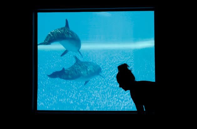 A woman participates in a yoga class near a window looking into the Mirage's dolphin habitat in 2017. (Photo: John Locher via AP)