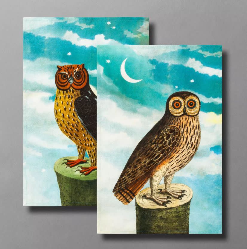 Obsessed with owls? This set features both a barn owl <i>and</i> a horned owl. <a href="https://goto.target.com/c/2055067/81938/2092?u=https%3A%2F%2Fwww.target.com%2Fp%2Fcold-as-ice-glass-ice-bucket-john-dhttps%3A%2F%2Fwww.target.com%2Fp%2F2pc-what-a-hoot-owl-print-tea-towel-set-john-derian-for-threshold-8482%2F-%2FA-79502792%23lnk%3Dsametabrian-for-threshold-8482%2F-%2FA-79502723%23lnk%3Dsametab&amp;subid1=5&amp;subid2=halloween&amp;subid3=decor" target="_blank" rel="noopener noreferrer">Find the set for $15 at Target</a>. <br /><br />