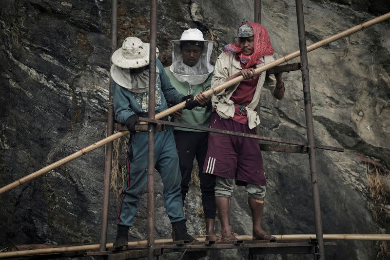 The Wider Image: Nepal's honey gatherers say fewer hives threaten tradition