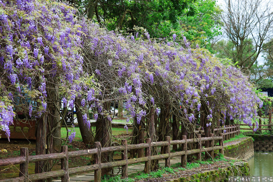 桃園｜大湖紀念公園