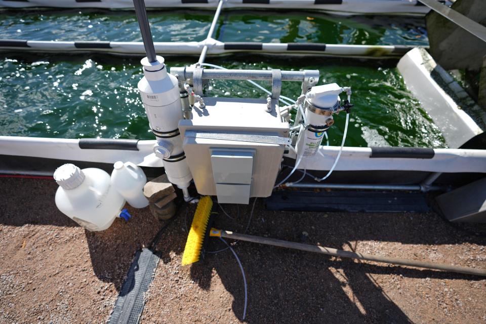 Scientists at ASU are partnering with the city of Mesa to cultivate algae using wastewater in a three-year project funded by the Department of Energy. The trial is taking place at Mesa's North West Water Reclamation Facility, pictured here on Feb. 24, 2022.