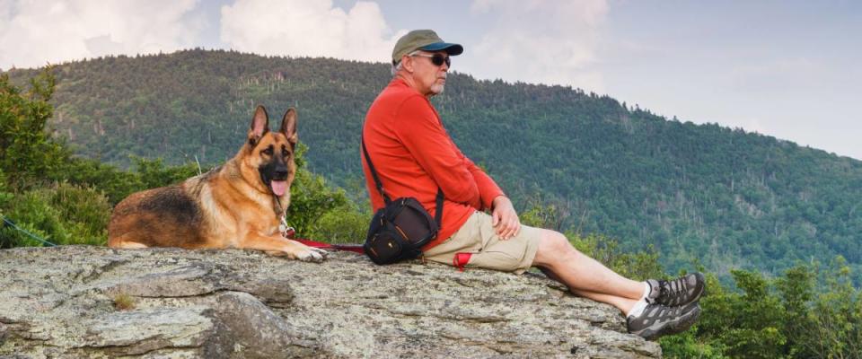 Senior man sitting on rock with German Shepherd dog in a field off the Appalachian Trail on Roan Mountain border of North Carolina and Tennessee.