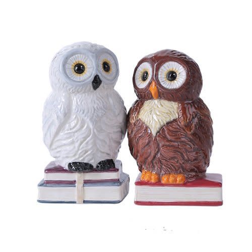 Hedwig and Pigwidgeon Salt & Pepper Shakers