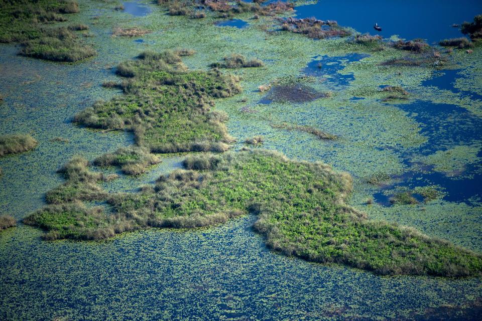 An aerial view of Savannas Preserve State Park in April 2021 shows the sprawling wet prairie and basin marsh spanning 10 miles in Martin and St. Lucie counties. Many species of wildlife, including the gopher tortoise, scrub jay and bald eagle inhabit the land, which represents what much of old Florida looked like before development.