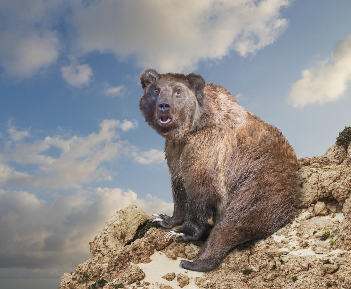 The 2023 rally bears an 'eerie resemblance' to last summer's headfuck