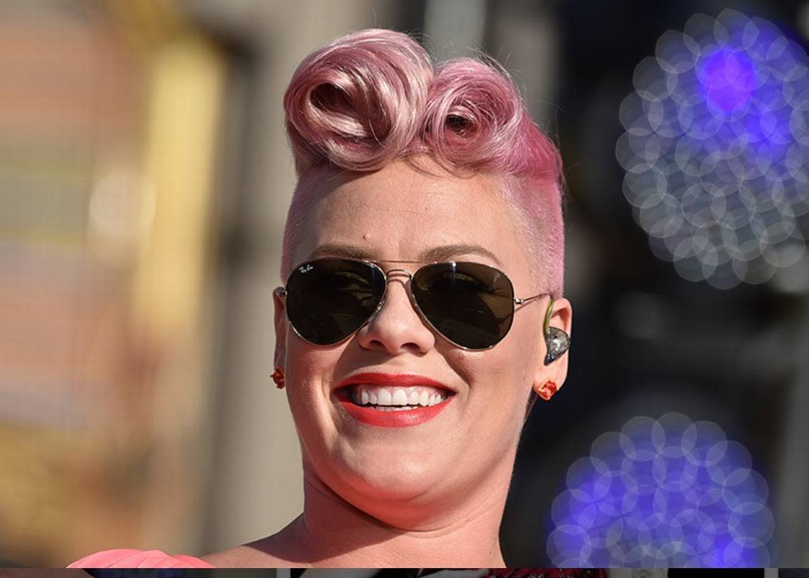 Pink reportedly bought a work of art by Save the Chimps artists.