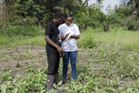 Rita Quansah, right, from Uniti Networks, shows farmer Cyril Fianyo, 64, years, how to navigate the farmers' apps on his phone in Atabu, Hohoe, in Ghana's Volta Region, Wednesday, April 18, 2024. Fianyo, who previously planted according to his intuition and rarely interacts with farming advisors, was optimistic that the technology would increase his yields. “I will know the exact time to plant because of the weather forecast,” he said. (AP Photo/ Misper Apawu)