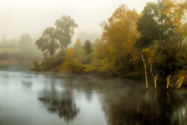 <p>RichardBarrow/Getty Images</p> Morning mist on the surface of the river.
