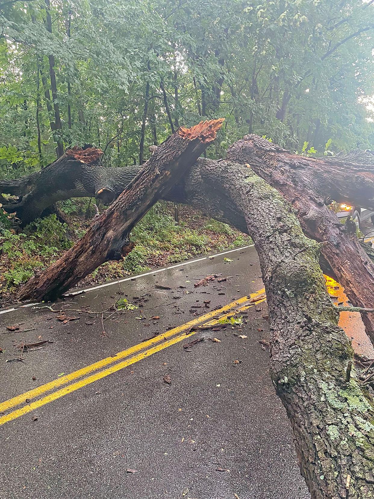 A downed tree crosses South Rock Quarry Road in Columbia. Columbia Public Works crews moved the tree to a ditch alongside the road, which was addressed Wednesday morning by Arthur Ratliff Tree Removal.