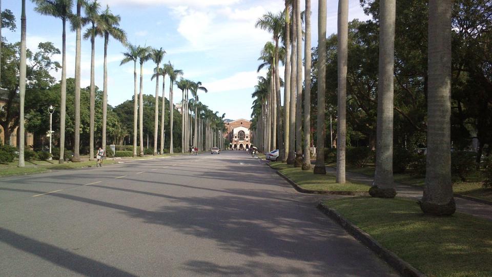 台大椰林大道。（圖片來源／維基百科）
