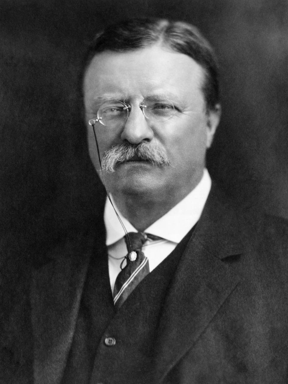 Theodore Roosevelt