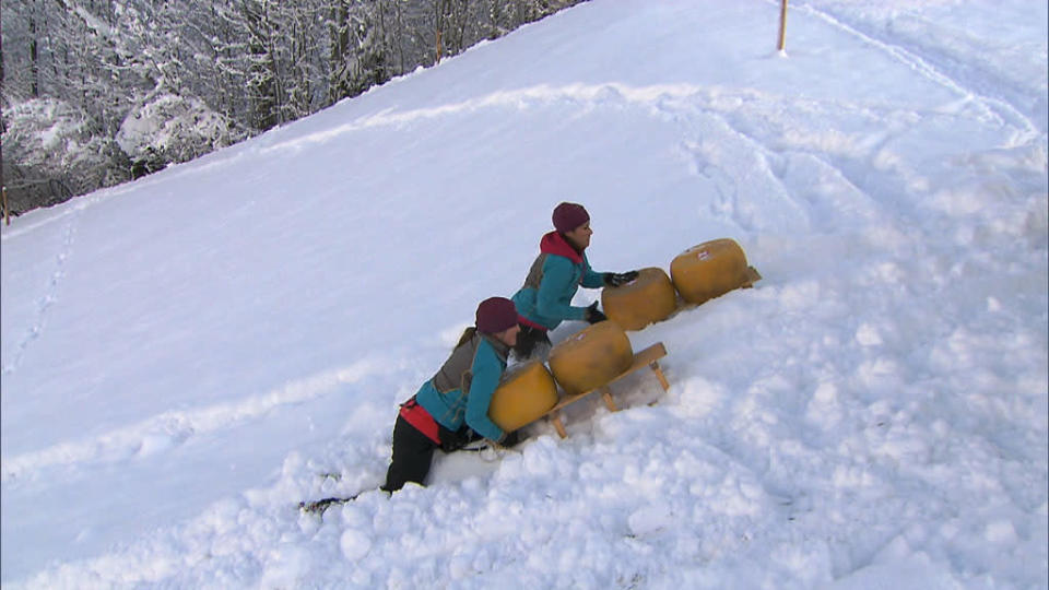 "The Amazing Race" -- "My Cheese is Out of Control"