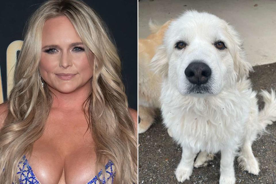 <p>SUZANNE CORDEIRO/AFP via Getty Images; Miranda Lambert Instagram</p> Miranda Lambert and her dog Thelma