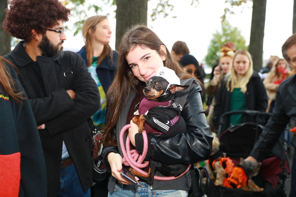 NYC pups in cute and creative costumes for annual Halloween Dog Parade