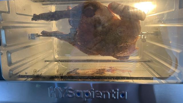 HYSapientia air fryer oven rotisserie chicken
