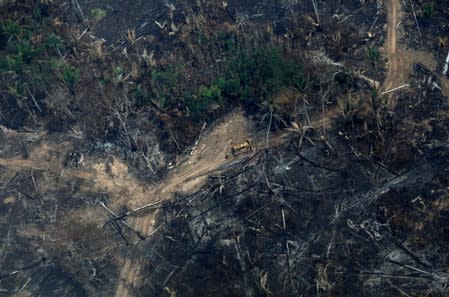 An aerial view of a deforested plot of the Amazon in Boca do Acre