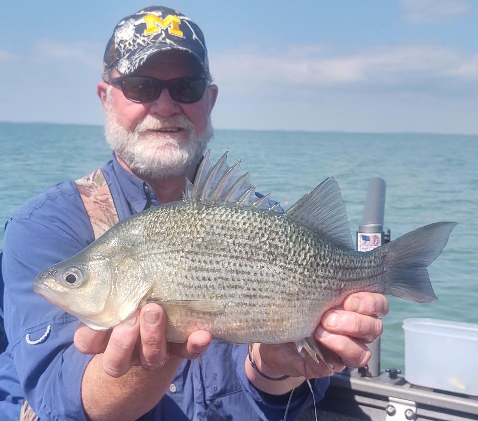 Scott Smith, of Adrian, holds his catch. The white perch, weighing 2 pounds, 5.92 ounces and measuring 16.25 inches, is the new state record fish for the species.