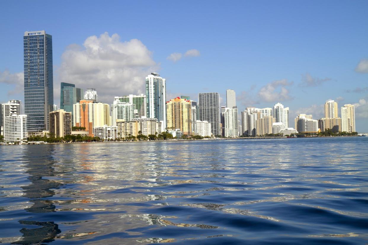 Biscayne Bay is home to more than 30 endangered or at-risk species. <a href="https://www.gettyimages.com/detail/news-photo/biscayne-bay-skyline-news-photo/635713316" rel="nofollow noopener" target="_blank" data-ylk="slk:Jeff Greenberg/Universal Images Group/Getty Images;elm:context_link;itc:0;sec:content-canvas" class="link ">Jeff Greenberg/Universal Images Group/Getty Images </a>