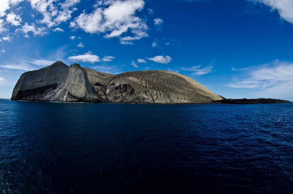 Además, su entorno es el hogar de numerosas especies, como atún, pez sierra, tiburón, langosta, mantarrayas gigantes y varios tipos de reptiles. / Foto: Twitter @berthareynoso