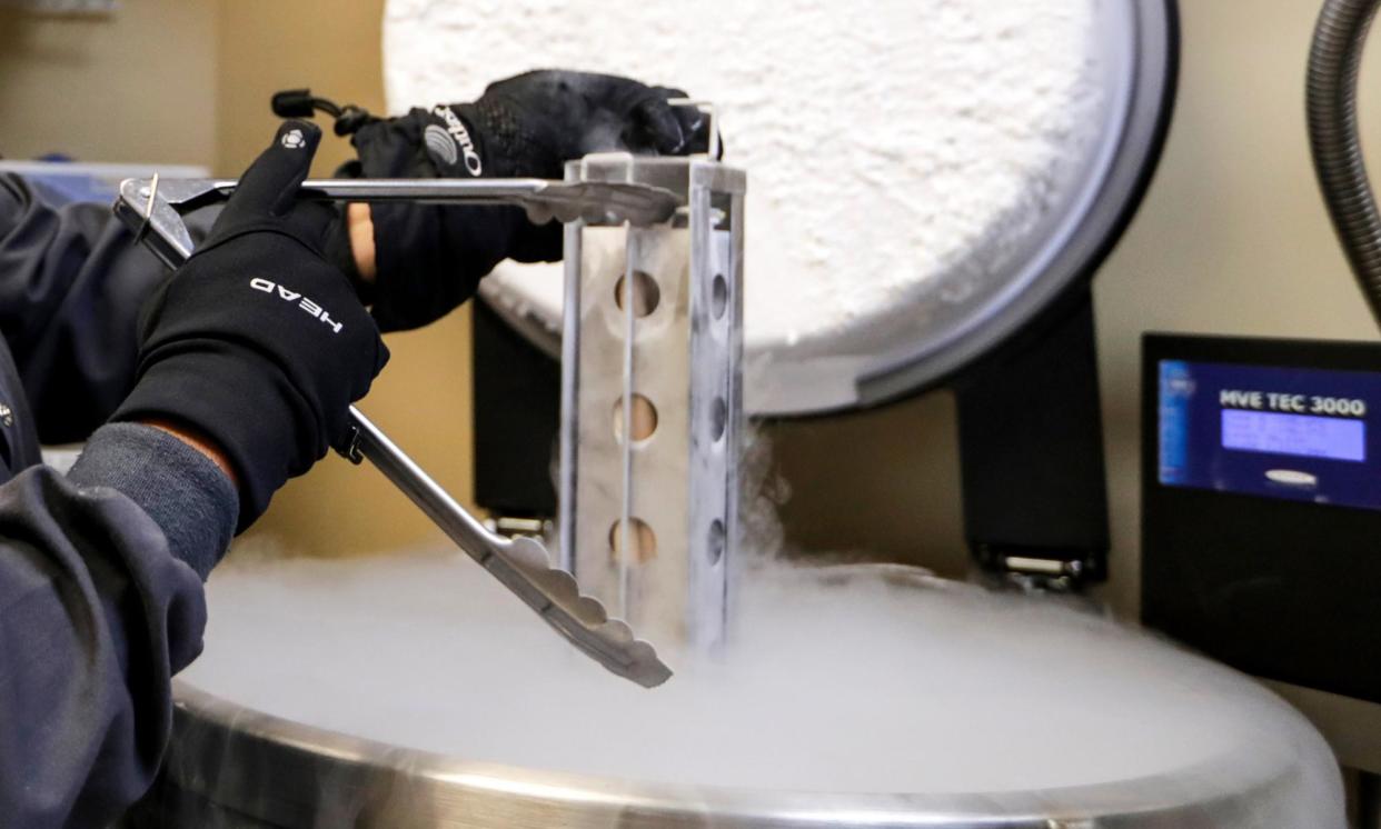 <span>A container with frozen embryos and sperm being stored in liquid nitrogen at a fertility clinic in Florida in 2018.</span><span>Photograph: Lynne Sladky/AP</span>