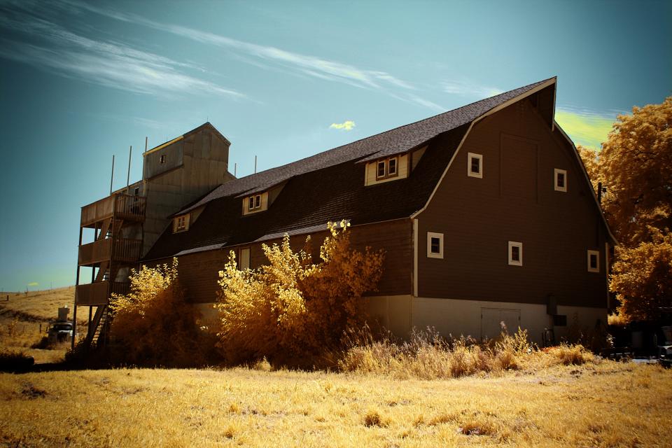 The converted barn that serves as the production facility and tasting room at Little Swan Lake Winery.