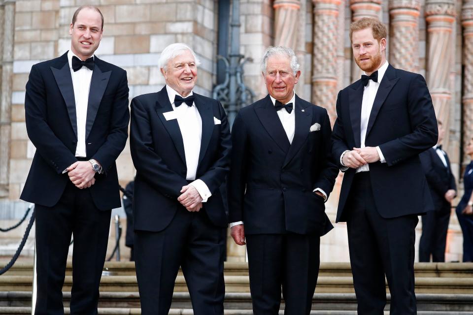 Prince Harry Joins William and Charles for Netflix Premiere