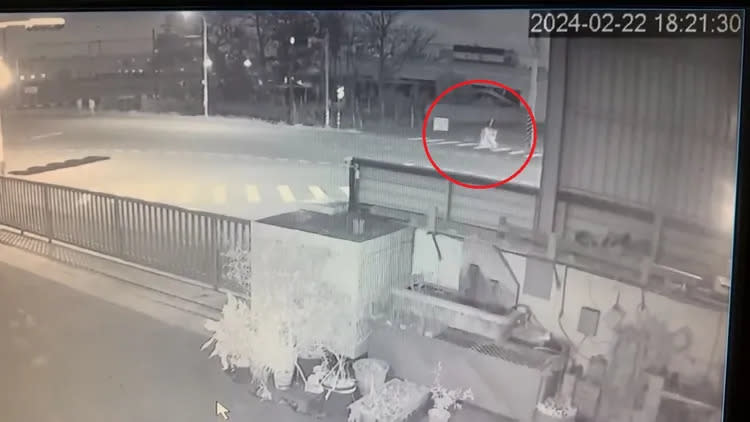 監視器畫面顯示陳姓3姊弟當時行走在斑馬線上，遭休旅車高速撞飛。翻攝臉書「彰化縣媒體記者協會」