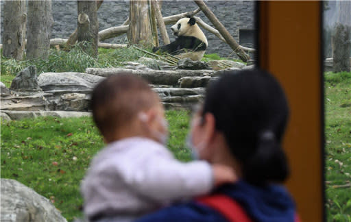 武漢動物園重開，唔少遊人都急不及待去。