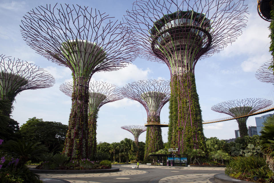 Supertree Grove, un parque muy popular en Singapur, estaba casi vacío el 19 de marzo de 2020. (Ore Huiying/The New York Times)