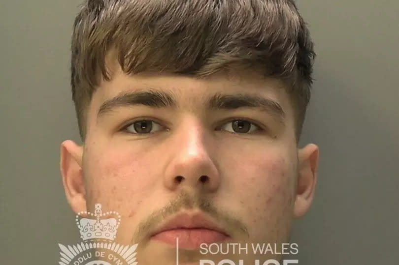 Harley Whiteman, 19, was under the influence of alcohol and cocaine when he hit and killed 13-year-old Kaylan Hippsley with his car in Hirwaun