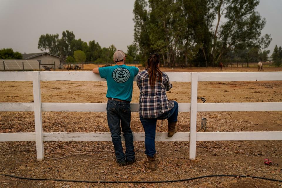 Jarad and Emily Jennings watch as horses Apples and Ivy explore their winter home after being evacuated from Shaver Stables.