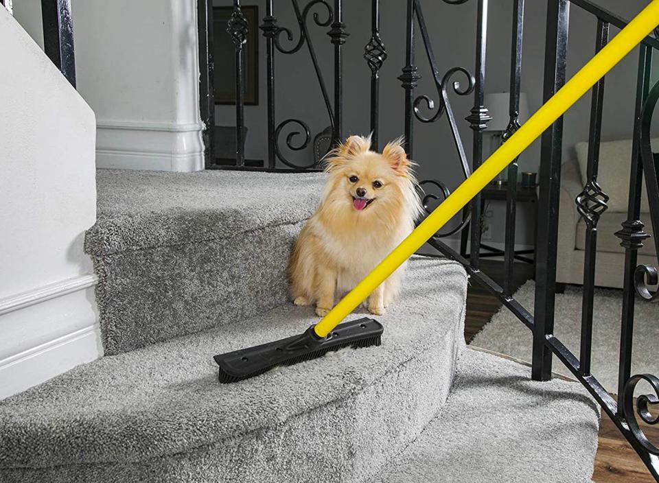 Getting rid of pet hair from your floors has never been easier. (Source: Amazon)