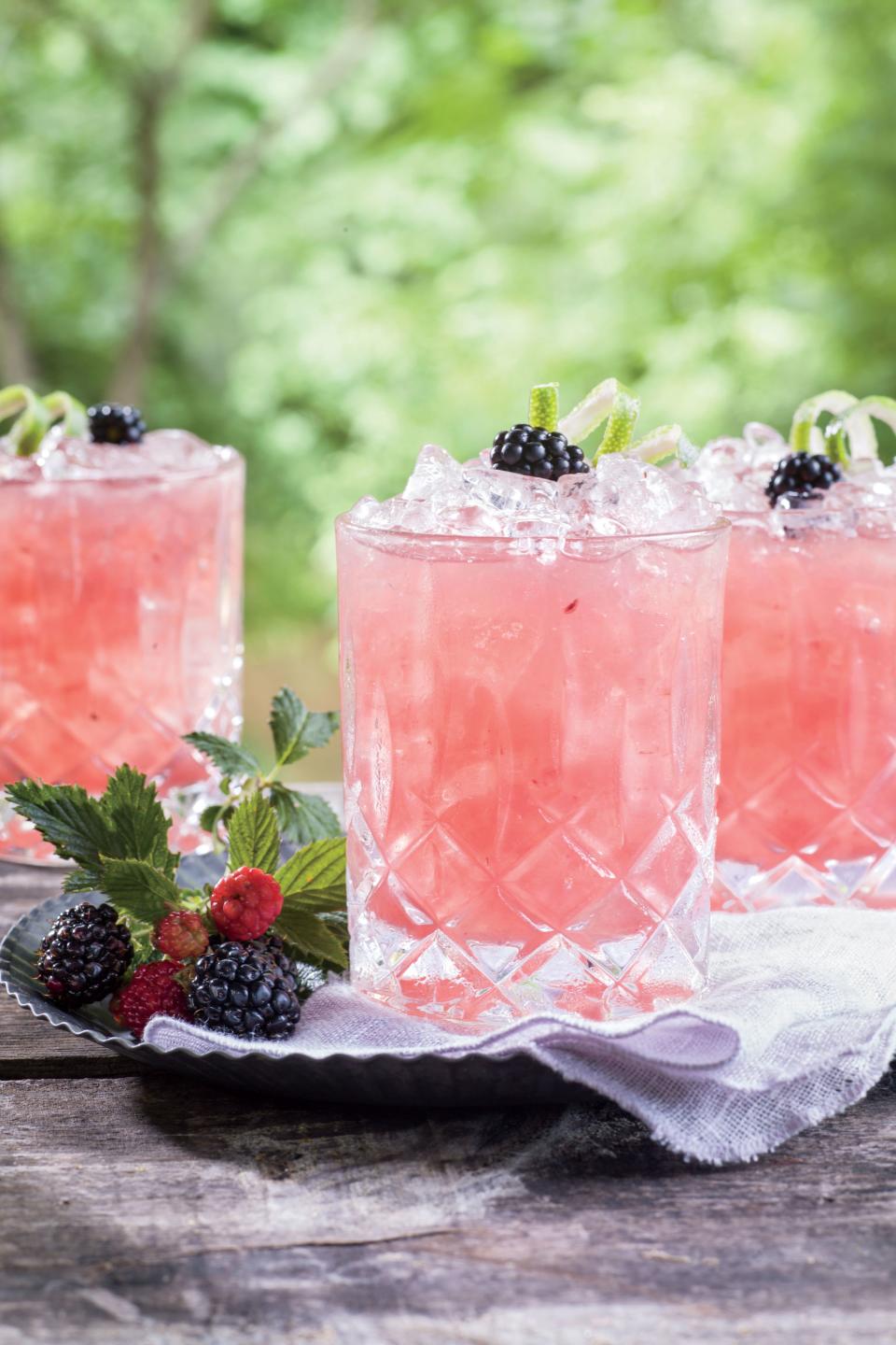 Summer Cobbler Cocktail