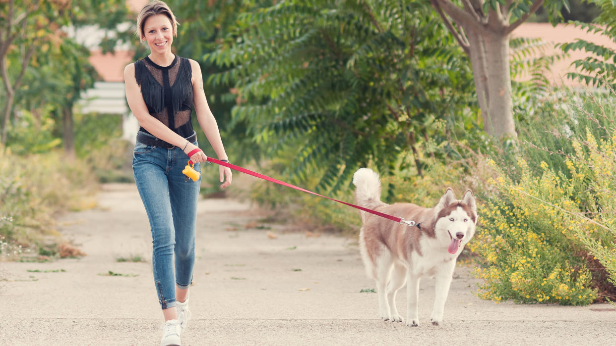  Young woman walking with her husky dog 