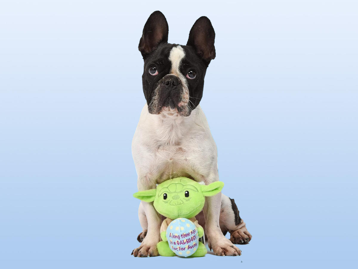 Star Wars-Loving Pet Parents Say These $5 Easter-Themed Dog Toys